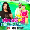 About Plain Dhake Aaja Raja Ji Song